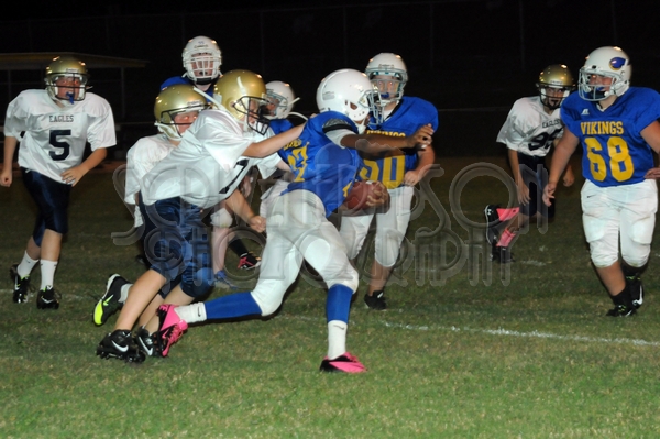 9-18 CAvsHCS 012.JPG - MCKEEGAN D300S #1